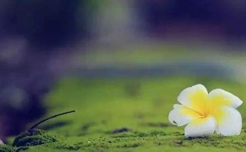 十二星座中，爱上永远不变心的星座！