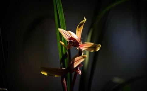 婴灵缠身还完阴债后的表现