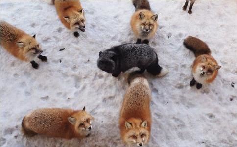 佛祖超度曲忏悔业障超度冤亲债主