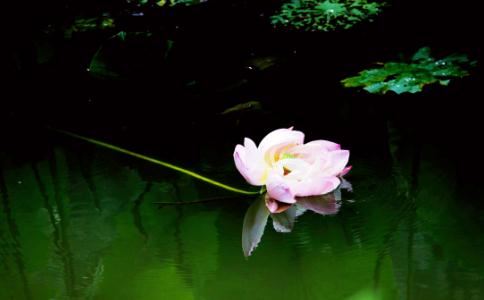 法术挽回爱情，不用跪求也不用卑微求和一用就显灵