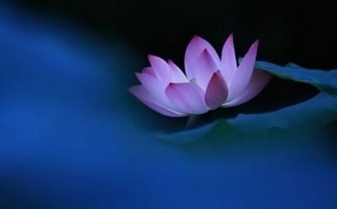 择吉日风水基础知识，分享我们如何选到合适的吉日