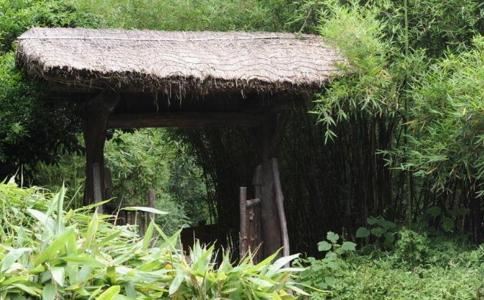 要怎么看出有的人会吸走你的运气