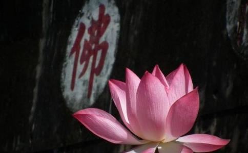 山崩地裂是什么生肖最正确的动物？山崩地裂是什么生肖最佳答案？