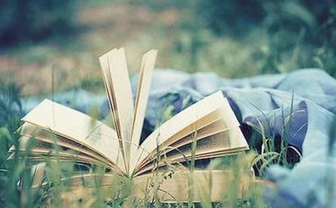 种生基改运注意事项有这些