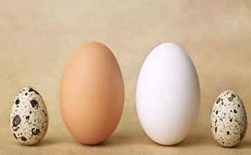 种生基风水秘术改运法的命理的以及益处