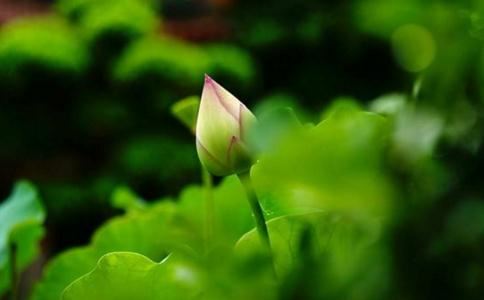 八字婚姻测算，来看看你的婚姻怎样吧