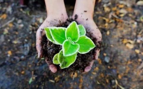 辟谷期间不能做的事 辟谷养生的注意事项