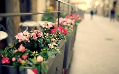 最适合做闺蜜的星座配对？