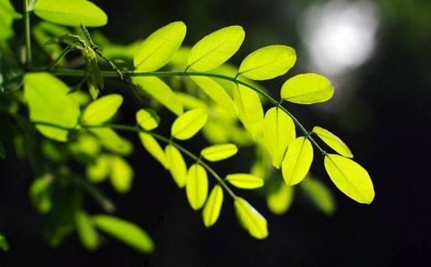 住几楼风水好，高楼层什么才是比较重要的