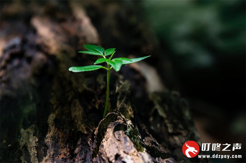 不可能日久生情的星座(不可能日久生情的星座)