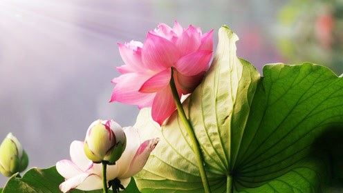 查阴债数量的方法 还阴债的好处