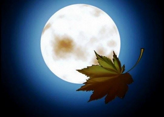 烧纸给神灵有这些讲究,你一定要懂得了