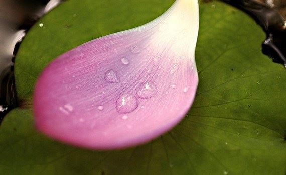 胎儿引产投胎需要进行渡亡,否则就会有婴灵在缠身