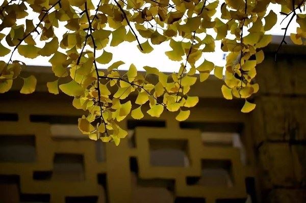 大师教你最管用的受惊方法，超级有用