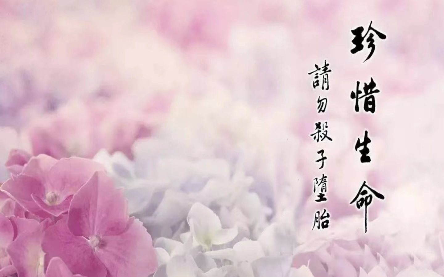 调理久病不愈的食物，这个时候适合做艾灸