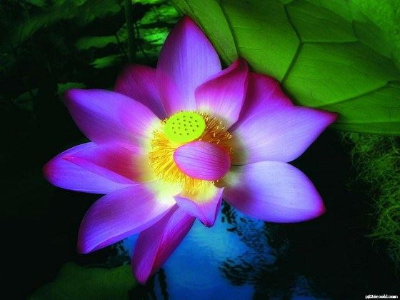 还完阴债感觉脾气很怪，需要走正确的还阴债流