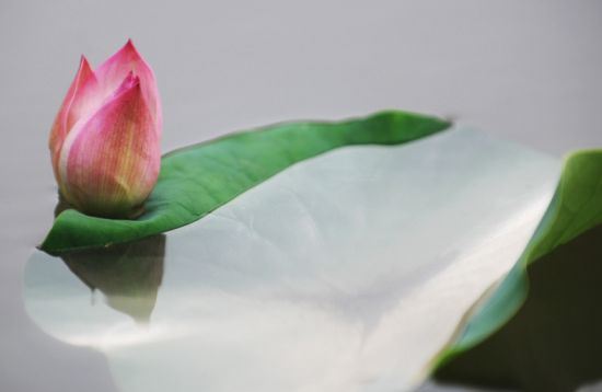 老祖宗牌位的历史,供奉先人需要注意的问题