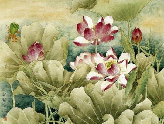 久病不愈暴躁，要懂得控制心情了