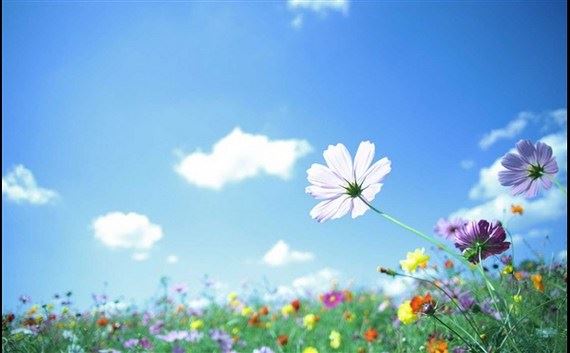 请狐仙媚符可以有效的增加自身桃花运