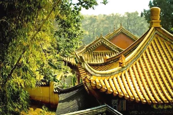 烂桃花让感情运变差 如何化解烂桃花